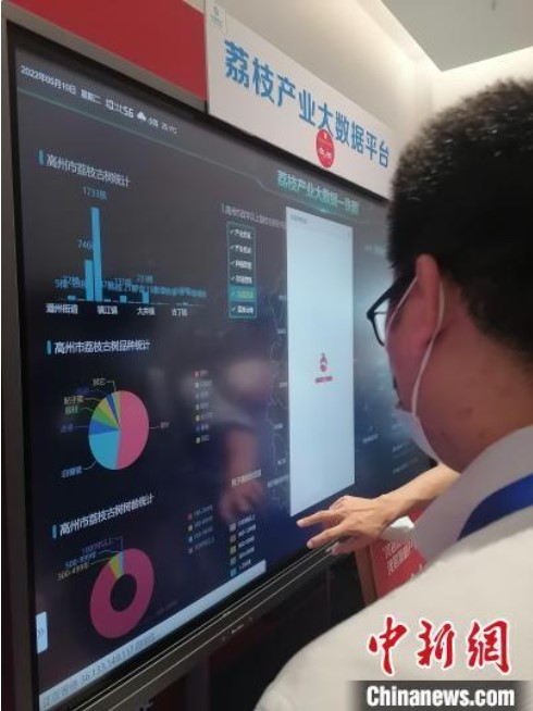 &#21338;&#40060;&#23448;&#26041;&#32593;&#39029;&#29256;&#45;&#21338;&#40060;&#40;&#20013;&#22269;&#41;
